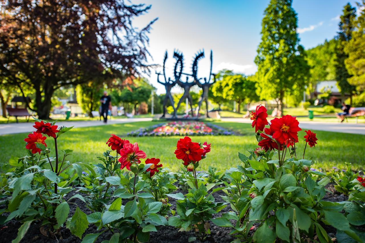 Apartamenty Sun & Snow Centrum Криница-Здруй Екстериор снимка